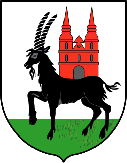 Herb: Wieruszów
