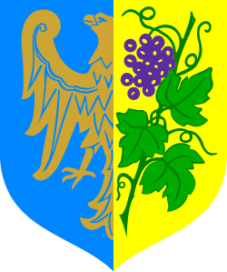 Herb: Strzelce Opolskie